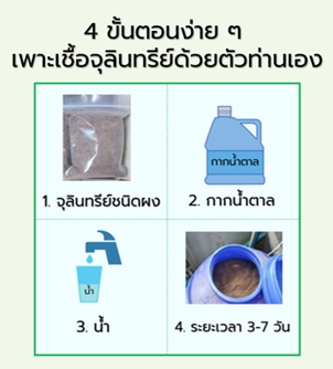 รูป 1